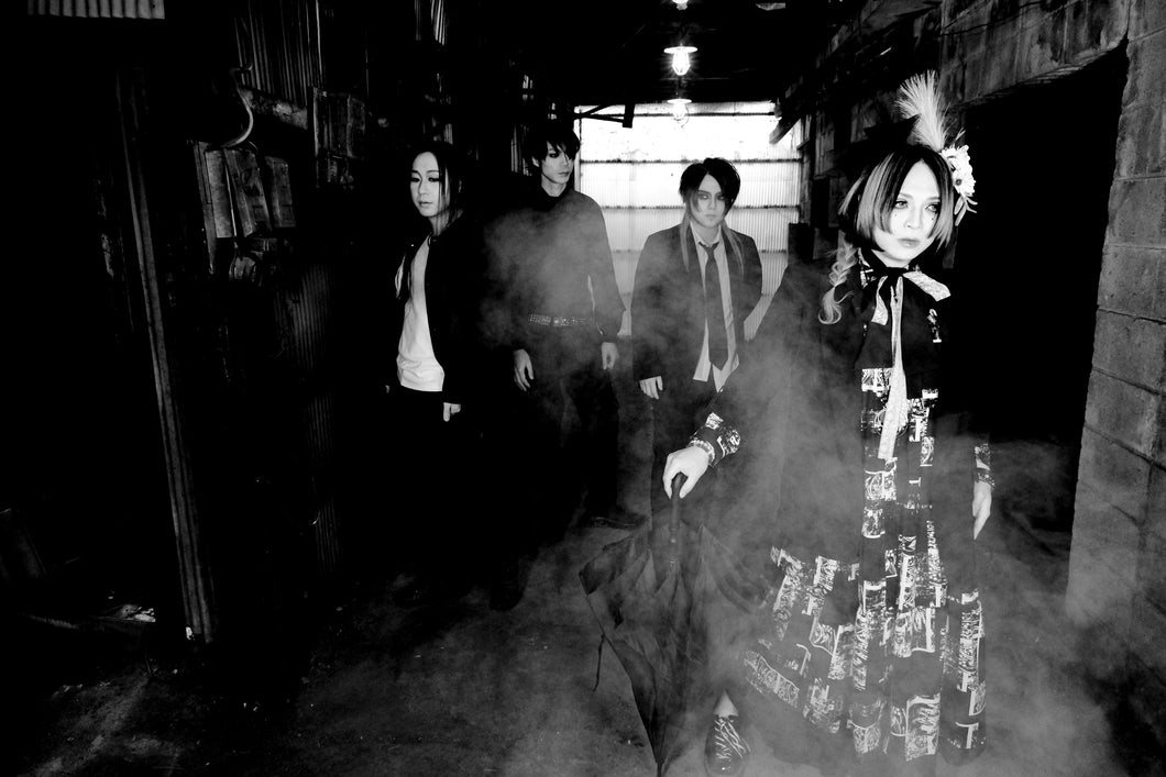 2025.07.04 umbrella / LIVE DVD 2025.03.14 味園ユニバース umbrella 15th Anniversary oneman【アンブレラ】