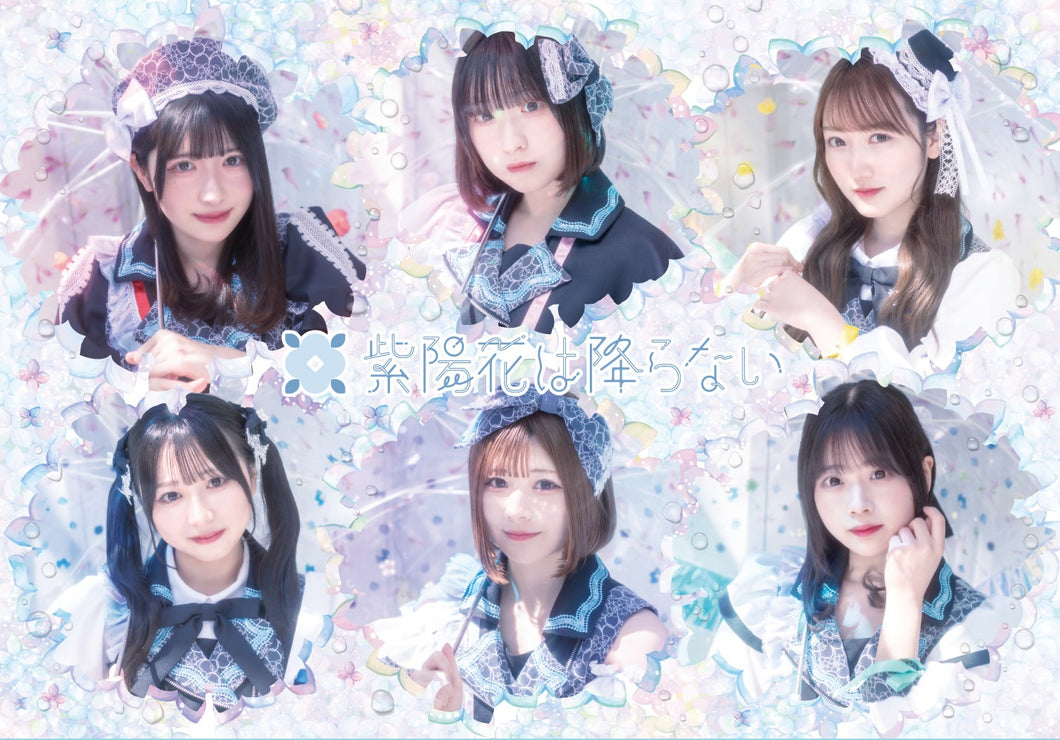 2025.09.10 紫陽花は降らない / 夏に揺れる